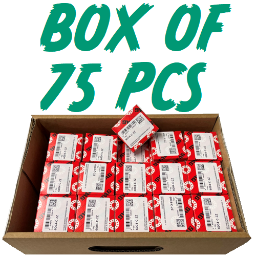 6004-ZZ INDIVIDUALLY BOXED