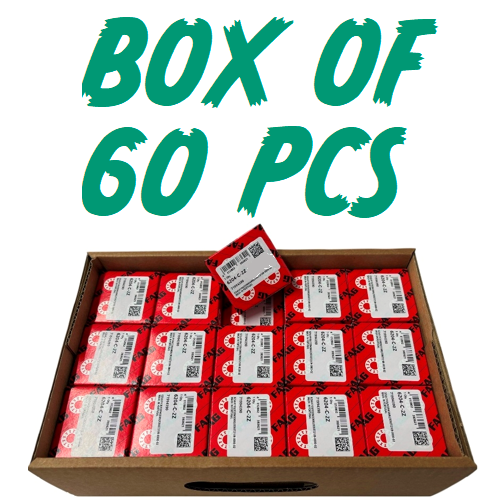 6204-ZZ INDIVIDUALLY BOXED