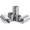 M10 x 1D FR Insert S/S